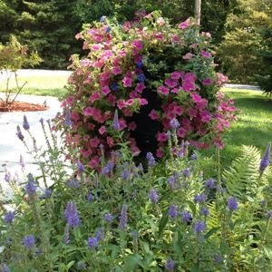 Meet your Posher, Carla